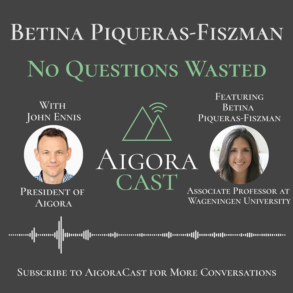 Featured image for Betina Piqueras-Fiszman - No Questions Wasted